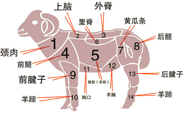 喜气洋洋，羊肉各部位该怎么吃？